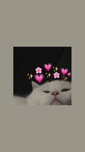 ستوري abstrak seni kucing foto abstrak