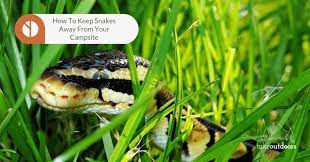 A snake slithering by can really ruin an otherwise beautiful afternoon outside, and discovering that a snake has somehow managed to find its way inside your home? How To Keep Snakes Away From Your Campsite Takeoutdoors