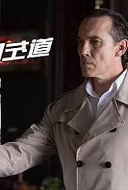 Bullet Ballet (2017)