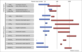 Shortening Trinucleotide Repeats Using Highly Specific Endonucleases A Possible Approach To Gene Therapy Trends In Genetics