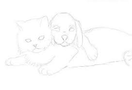 Birlikte Bir Kedi Ve Bir Kopek Nasil Cizilir