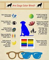 Dog Coloring Puppy Pin Color Blind