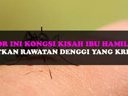 Selalunya ia akan bermula dengan demam kuat yang mengejut, sakit kepala yang. Doktor Ini Kongsi Kisah Ibu Hamil Degil Dapatkan Rawatan Untuk Denggi Yang Kritikal May 2021 Kelabmama Malaysia