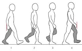 Human Anatomy Fundamentals Additional Tips Drawing People Person Drawing Human Drawing Walking and running are entirely different because walking is always having contract. human anatomy fundamentals additional