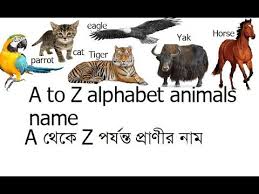 Check out the ideas of company names below. A To Z Alphabet Animals Name Animals Name All Alphabet Animals Name In English With Bengali Youtube