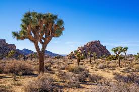 Maybe you would like to learn more about one of these? Best Hikes In California 5 Trails You Need To Hike