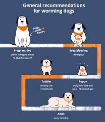 Garlic is safe to give your dog in moderate amounts and can be a good way to fight worms. Petcyclopedia When To Use Dog Wormers