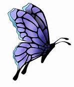 Side View Butterfly Tattoo Designs Bing Images Butterfly Tattoo Designs Butterfly Tattoo Insect Tattoo