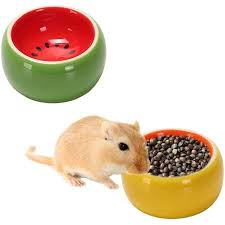 We did not find results for: Bamaia 2 Pcs Hamster Food Bowl Small Animals Ceramic Feeding Water Dish For Guinea Pig Rat Hedgehog Rabbit Gerbil Mouse Rodent Walmart Canada