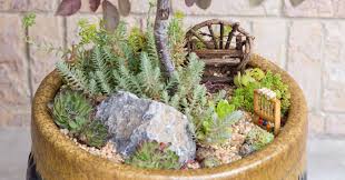 Maybe you would like to learn more about one of these? Miniature Succulent Garden Ideas Succulents And Sunshine