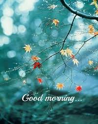Pin By Selvi Elango On New Autumn Photography Photography Wallpaper Flower Wallpaper