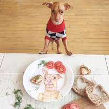 Does Your Dog Ever Eat Bread Do They Enjoy It As A Treat Really Cute Dogs Best Treats For Dogs Puppy Treats