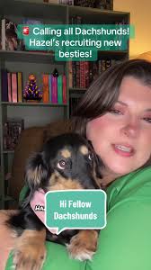 🐾🐾 Hazel Bazel is