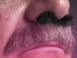 The sinuses are lined with. How To Get Rid Of Ear And Nose Hair Gq