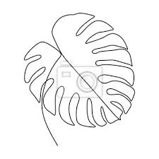 We did not find results for: Continuous Exotic Plant Of Monstera One Line Drawing Minimalist Wandposter Poster Tropen Drucken Sommer Myloview De