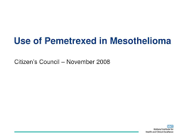 We did not find results for: Ppt Use Of Pemetrexed In Mesothelioma Powerpoint Presentation Free Download Id 3655413