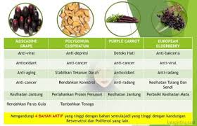Makanan yang sedap dan lazat tidak akan menjamin kesihatan anda. Nscvita Shoppe Pengedar Shaklee Telipok Kota Kinabalu Bahaya Kolesterol Tinggi Tanda Tanda Dan Cara Mengurangkannya