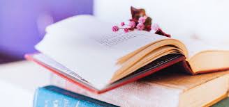 الكتب الأدبية الأوروبية خلفية جديدة Card Holder Cards