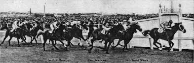 1940 Old Rowley Melbourne Cup Winner Google Search Melbourne Cup Winners Melbourne Cup Thoroughbred Horse Racing