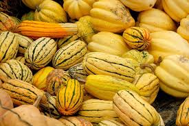Kurbissorten Essbare Giftige Im Uberblick Plantura In 2020 Kurbissorten Kurbis Nahrung