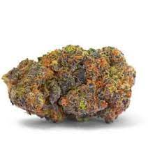 Ask questions, and view answers from other smokers and growers. Gelato 33 Strain Weed From Feminized Seeds Thc 20