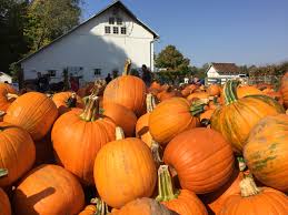 The spirits and evil entities, the clowns (good or bad) those hero's (ghost busters) who are there to protect us.they travel from far and wide to take. A Complete List Of Pumpkin Patches And Fall Festivals In Central Ohio