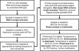 Suicide Polymerase Endonuclease Restriction A Novel