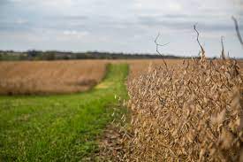 Opinion Bringing Farming Back To Nature The New York Times