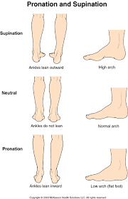Asics High Arch Walking Shoes High Arches Do You Over Pronate Supinate Or Sports Medicine Athletic Training Sports Medicine Physical Therapy Assistant