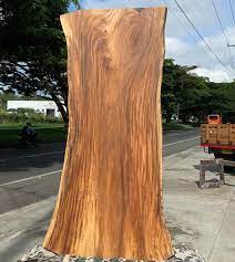 Como hacer mesa con tronco de árbol!!!! Troncos Inicio Facebook