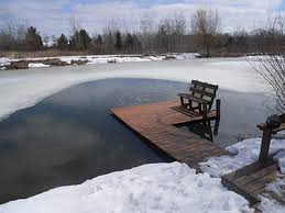 Question on building a new dock. Prevent Winter Fish Kills On Iowa Ponds News