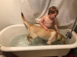 Most innovative and best dog bathing tools in 2021. Just A Boy And His Dog Again Dogs Boys Bathtub