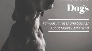Thou hast seen a farmer's dog bark at a beggar? Famous Quotes About Dogs Holidappy
