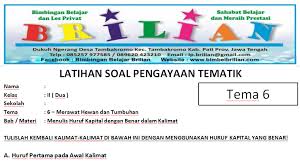 Soal Pengayaan Tematik Kelas 2 Sd Tema 6 Menulis Huruf Kapital Dengan Benar Dalam Kalimat Bimbel Brilian
