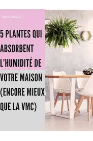 5 Plantes Qui Absorbent L Humidite De Toutes Les Pieces Amenagement Jardin Recup Astuce Jardin Et Jardins