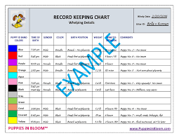 Downloadable Record Keeping Charts For Breeders