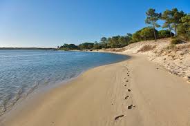 Fantastic room with great views. Praia De Troia Em Setubal 2021 Dicas Incriveis