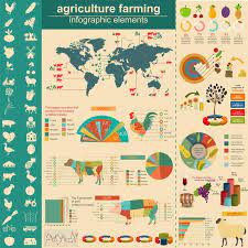 agriculture animal husbandry infographics vector illustrationstry info graphic spon husbandry graphic illustration business icons vector graphic poster