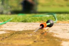 When To Water Vegetables Watering Chart The Old Farmer S Almanac