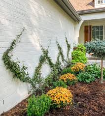 We did not find results for: Diy Invisible Wire Trellis On A Brick Wall Cotton Stem