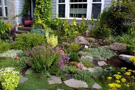 We did not find results for: How To Design Beautiful Rock Garden In Your Home