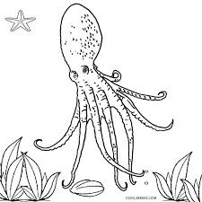 We did not find results for: Printable Octopus Coloring Page For Kids