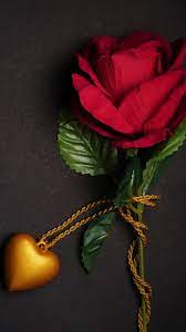Maybe you would like to learn more about one of these? Love Rose Wallpaper 1440x2560 Wallpaper Teahub Io
