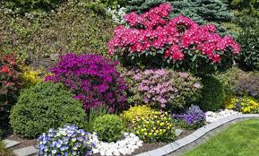 Alcune piante da siepe fioriscono e nel periodo estivo, la siepe fiorita inonda il vostro giardino di gemme e fiori colorati, i quali con il loro profumo, doneranno serenità ai visitatori. Piante Da Giardino Resistenti Al Sole Ecco Quali Sono Le Migliori