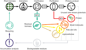 Some bacteria can swim around using long tails called flagella. Frontiers Plant Molecular Farming Integration And Exploitation Of Side Streams To Achieve Sustainable Biomanufacturing Plant Science