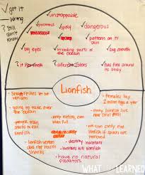 Writing activities for 2nd grade will focus on using sequence of events and writing from different. Informational Writing Overview