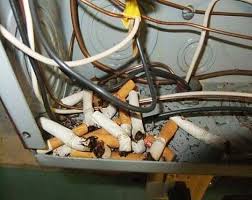 Home Inspection Nightmares Xxviii Home Inspection Home Inspector Inspect