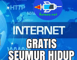 Instal dulu aplikasi roli yang ada di google play store. Cara Internet Gratis Di Android Seumur Hidup Terbaru Kutazo Net