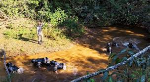 Polícia penal s10 da policia penal de mg com sirene, giroflex e strobo + xadrez. Patos 1 Noticias De Patos De Minas E Regiao Grupo De Intervencao Rapida Da Policia Penal Faz Treinamento Em Patrocinio