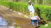 Kwaya katolik hekima ya mdomo :. Hekima Ya Mdomo Youtube